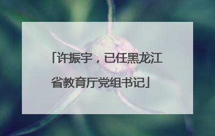 许振宇，已任黑龙江省教育厅党组书记