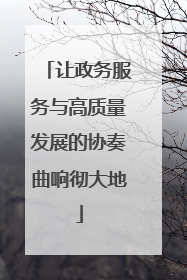 让政务服务与高质量发展的协奏曲响彻大地