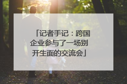 记者手记：跨国企业参与了一场别开生面的交流会