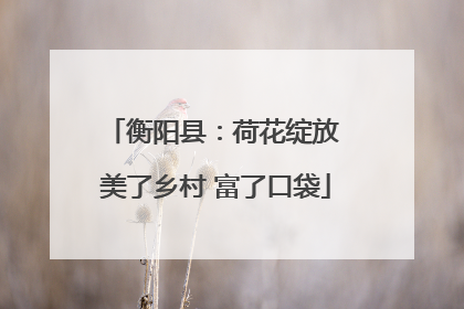 衡阳县：荷花绽放 美了乡村 富了口袋