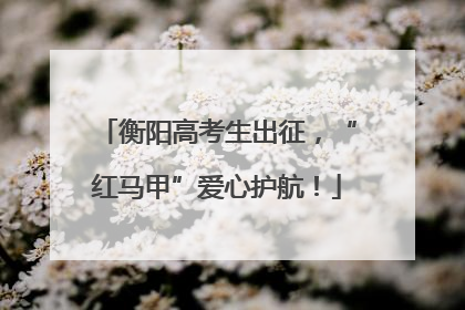 衡阳高考生出征，“红马甲”爱心护航！