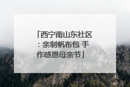 西宁南山东社区：亲制帆布包 手作感恩母亲节