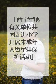 西宁军地有关单位共同走进小学开展未成年人暨军娃保护活动