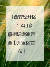 西安经开区：1-4月多项指标增速居全市开发区首位