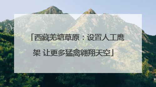 西藏羌塘草原：设置人工鹰架 让更多猛禽翱翔天空