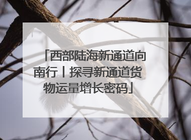 西部陆海新通道向南行丨探寻新通道货物运量增长密码