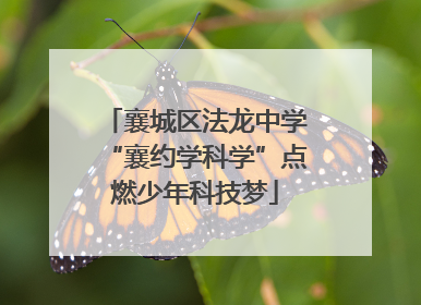 襄城区法龙中学“襄约学科学”点燃少年科技梦