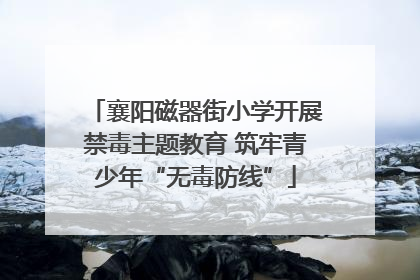 襄阳磁器街小学开展禁毒主题教育 筑牢青少年“无毒防线”