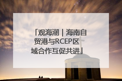 观海潮｜海南自贸港与RCEP区域合作互促共进