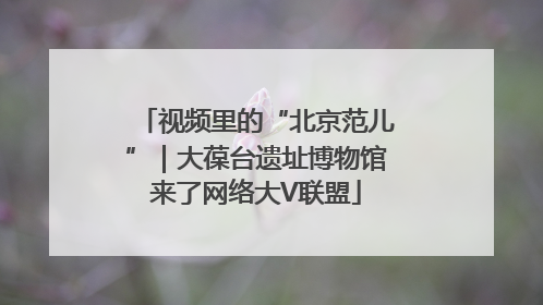 视频里的“北京范儿”｜大葆台遗址博物馆来了网络大V联盟