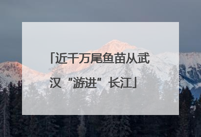 近千万尾鱼苗从武汉“游进”长江