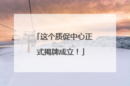这个质促中心正式揭牌成立！