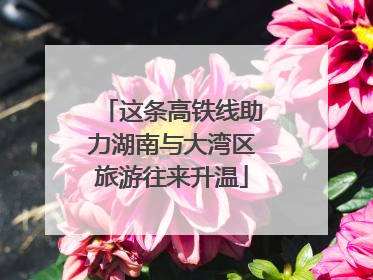 这条高铁线助力湖南与大湾区旅游往来升温