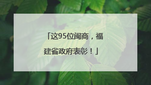 这95位闽商，福建省政府表彰！