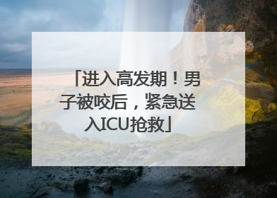 进入高发期！男子被咬后，紧急送入ICU抢救