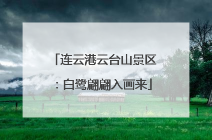 连云港云台山景区：白鹭翩翩入画来