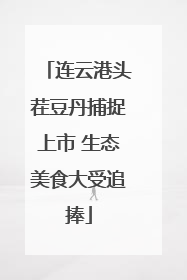 连云港头茬豆丹捕捉上市 生态美食大受追捧