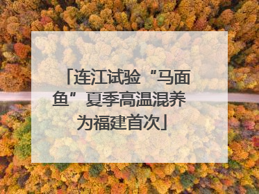 连江试验“马面鱼”夏季高温混养 为福建首次