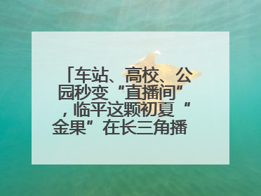 车站、高校、公园秒变“直播间”，临平这颗初夏“金果”在长三角播撒甜美