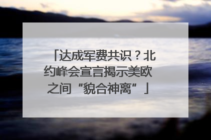 达成军费共识？北约峰会宣言揭示美欧之间“貌合神离”
