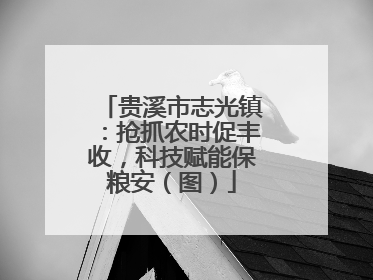 贵溪市志光镇：抢抓农时促丰收，科技赋能保粮安（图）