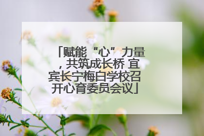 赋能“心”力量，共筑成长桥 宜宾长宁梅白学校召开心育委员会议