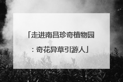 走进南昌珍奇植物园：奇花异草引游人