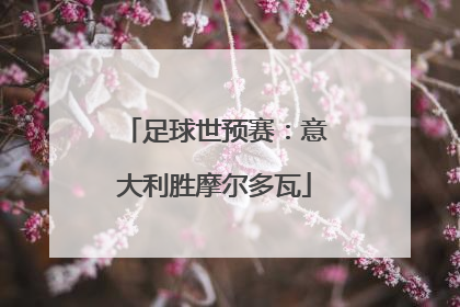 足球世预赛：意大利胜摩尔多瓦