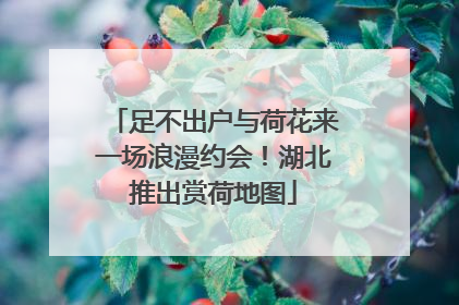足不出户与荷花来一场浪漫约会！湖北推出赏荷地图