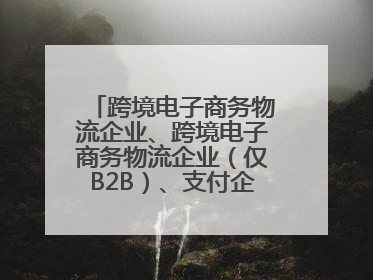 跨境电子商务物流企业、跨境电子商务物流企业（仅B2B）、支付企业备案操作指南