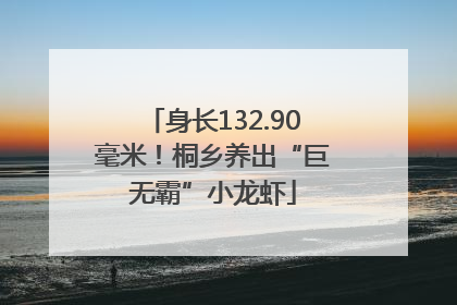 身长132.90毫米！桐乡养出“巨无霸”小龙虾