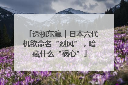 透视东瀛｜日本六代机欲命名“烈风”，暗藏什么“祸心”