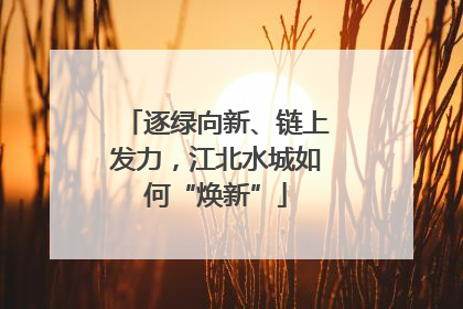 逐绿向新、链上发力，江北水城如何“焕新”