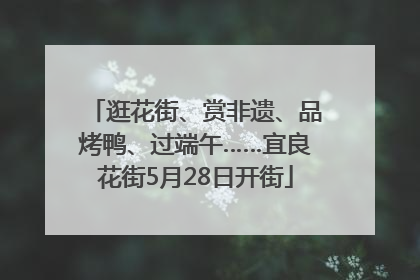 逛花街、赏非遗、品烤鸭、过端午……宜良花街5月28日开街