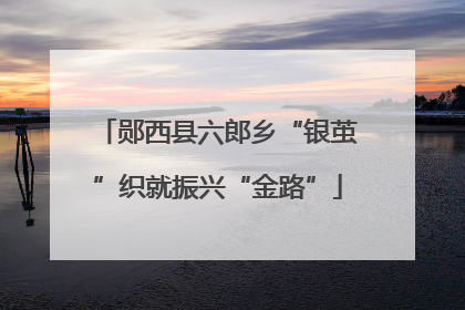 郧西县六郎乡“银茧”织就振兴“金路”