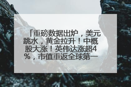 重磅数据出炉，美元跳水，黄金拉升！中概股大涨！英伟达涨超4%，市值重返全球第一！黄仁勋计划出售至多600万股股票