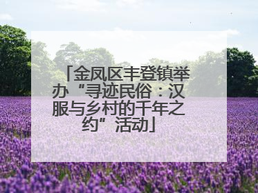 金凤区丰登镇举办“寻迹民俗：汉服与乡村的千年之约”活动