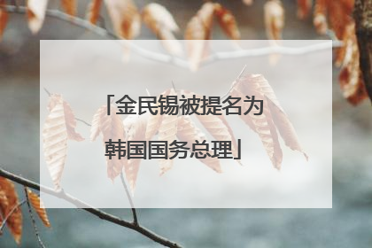 金民锡被提名为韩国国务总理
