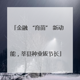金融 “育苗” 新动能，莘县种业拔节长