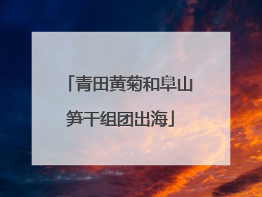 青田黄菊和阜山笋干组团出海