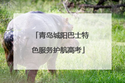 青岛城阳巴士特色服务护航高考