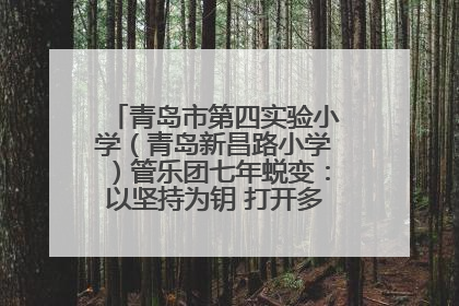 青岛市第四实验小学（青岛新昌路小学）管乐团七年蜕变：以坚持为钥 打开多元成长之门