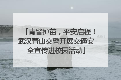 青警护苗，平安启程！武汉青山交警开展交通安全宣传进校园活动