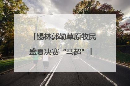 锡林郭勒草原牧民盛夏决赛“马超”