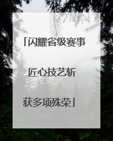 闪耀省级赛事  匠心技艺斩获多项殊荣