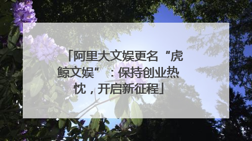 阿里大文娱更名“虎鲸文娱”：保持创业热忱，开启新征程