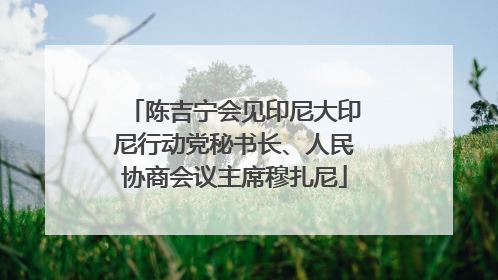 陈吉宁会见印尼大印尼行动党秘书长、人民协商会议主席穆扎尼