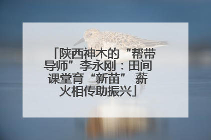 陕西神木的“帮带导师”李永刚：田间课堂育“新苗” 薪火相传助振兴