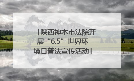 陕西神木市法院开展“6.5”世界环境日普法宣传活动