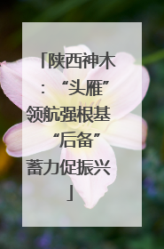 陕西神木：“头雁”领航强根基 “后备”蓄力促振兴